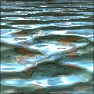 Water Waves 1