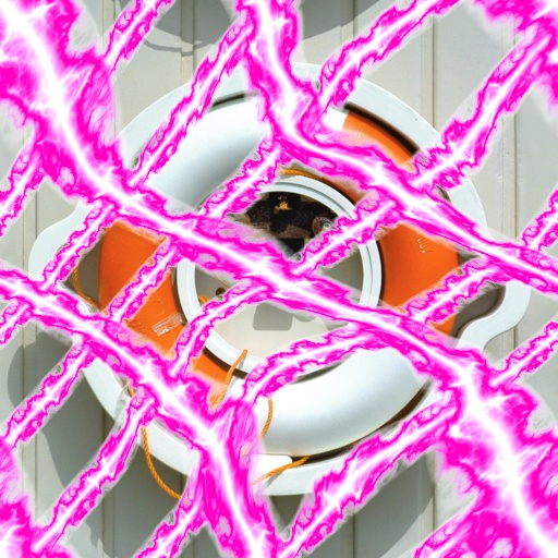 Variation 6