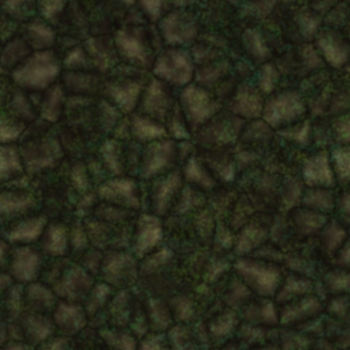 Diffuse Map