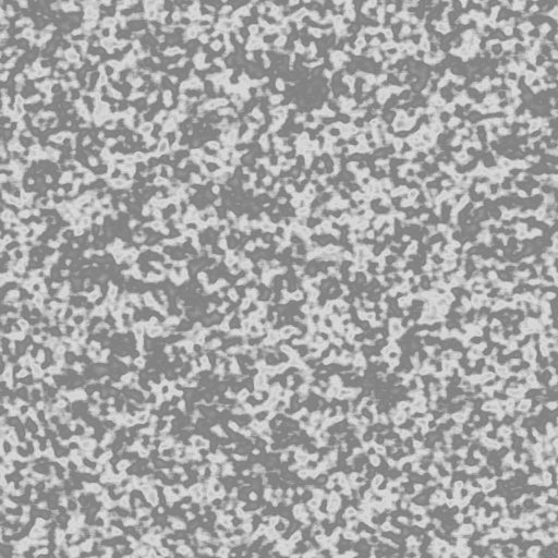 Bump Map