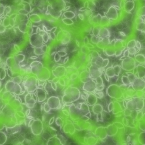 Variation 1