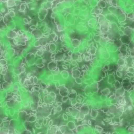 Variation 3
