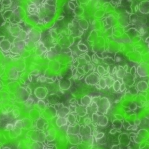 Variation 6