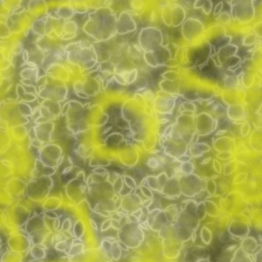 Variation 7