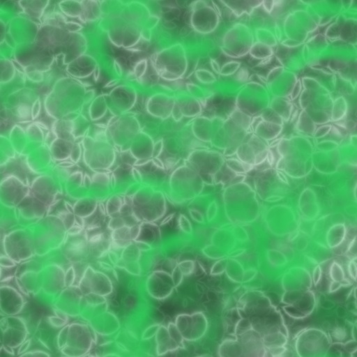 Variation 8