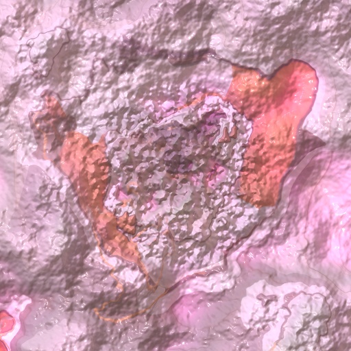 Variation 1