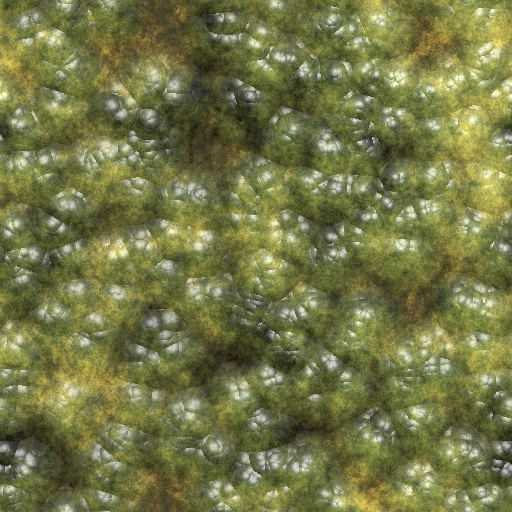 Variation 7