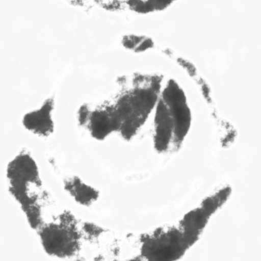 Bump Map