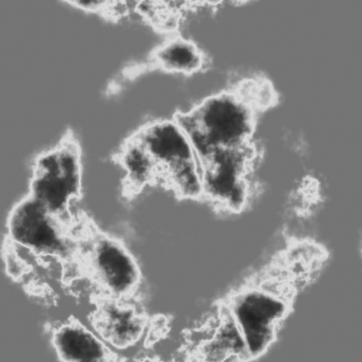 Variation 4