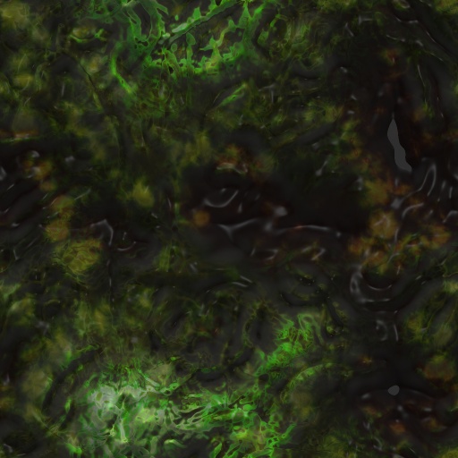 Variation 8