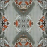 organic photo distortions