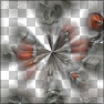 Time Warp Blossoms