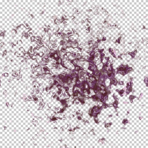 Variation 7