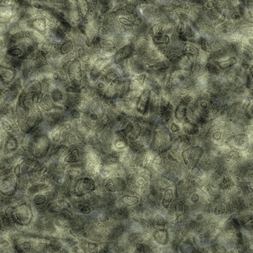 Variation 8