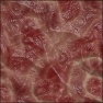 Flesh