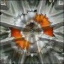 Shapes in Anarchy