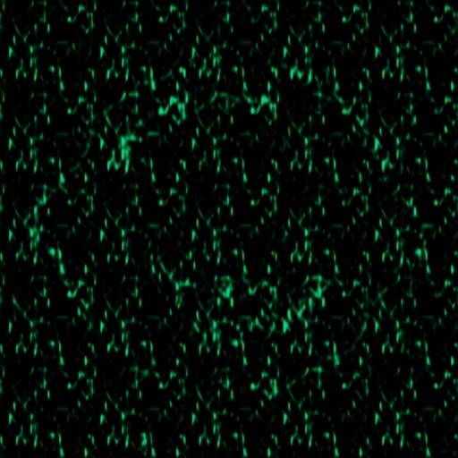 Variation 8