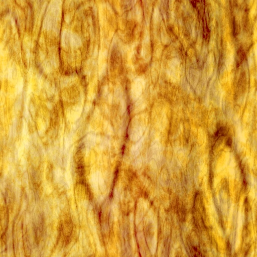 Variation 7