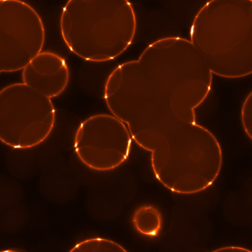 Variation 3