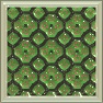 Flower Power Glass
