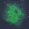 Land mass : Island