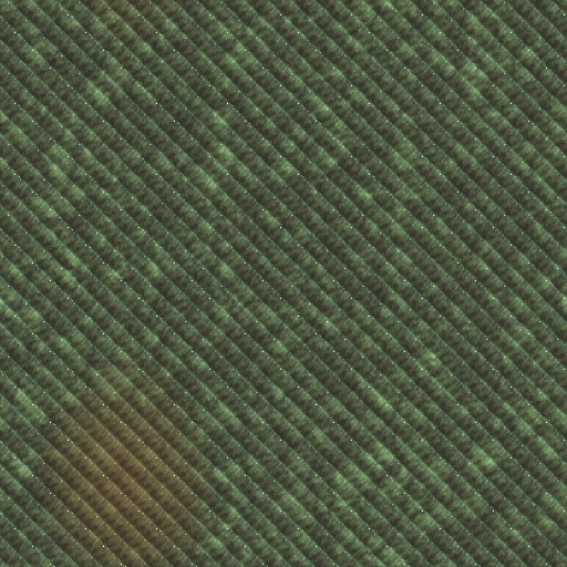 Variation 4