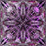 Fracta lilly