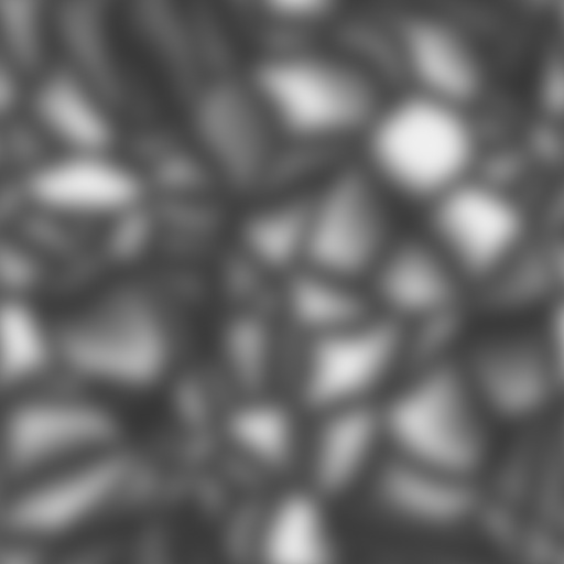 Bump Map