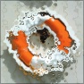 Rain_Puddle