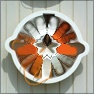 flowerpower9