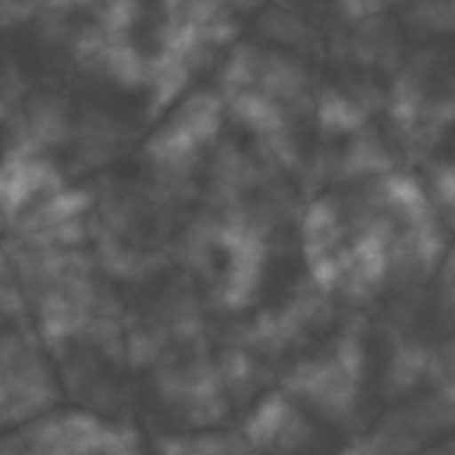 Bump Map