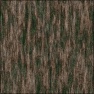 Magic Wood