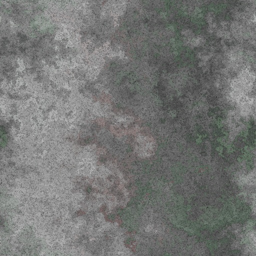 Variation 1