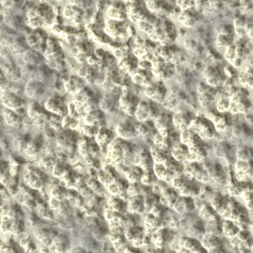 Variation 2