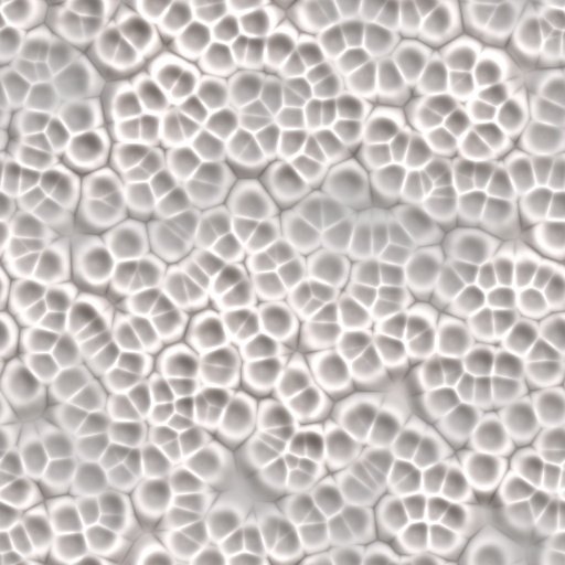 Variation 3