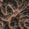 Zerg Skin