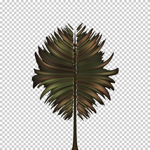 Variation 4