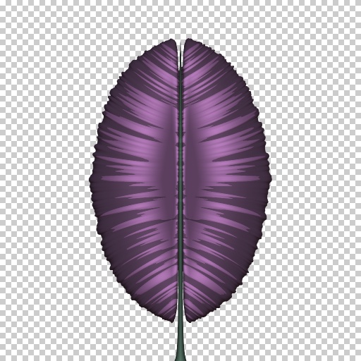 Variation 5