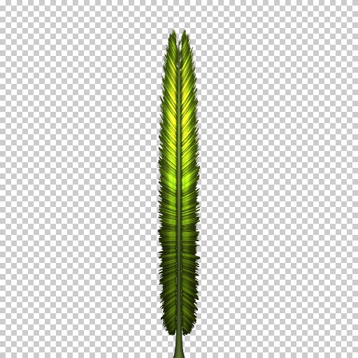 Variation 6