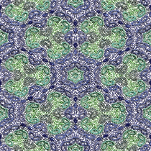 Variation 8