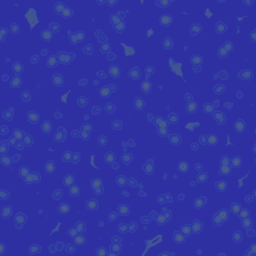Variation 2