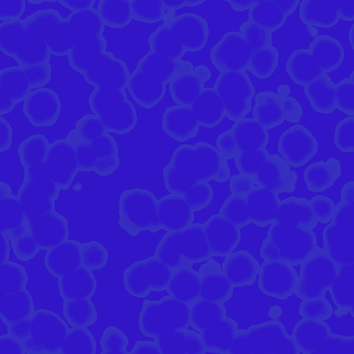 Variation 7