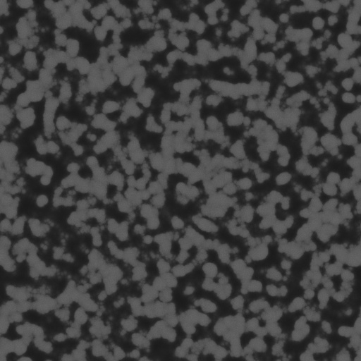 Bump Map