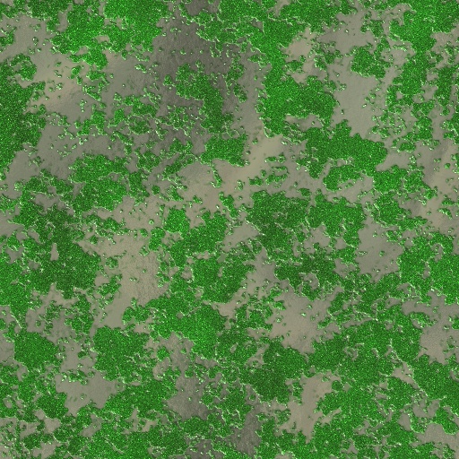 Variation 3