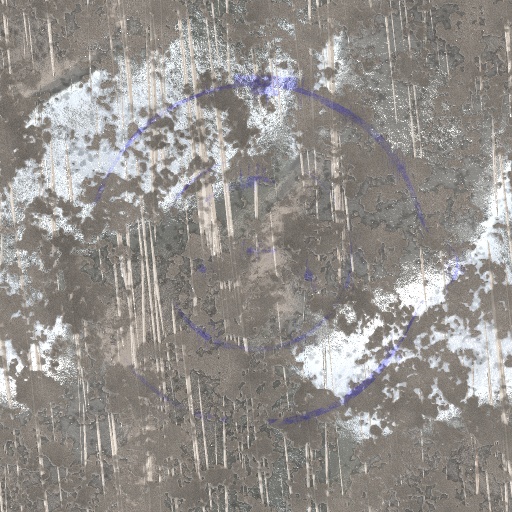 Variation 4