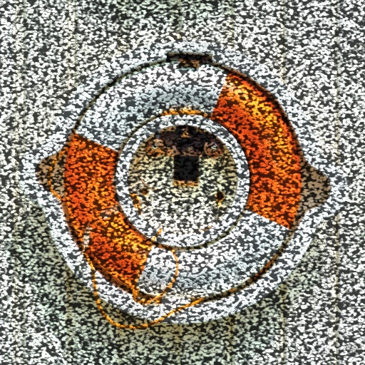 Variation 7