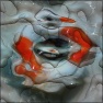 Liquidesque feelings