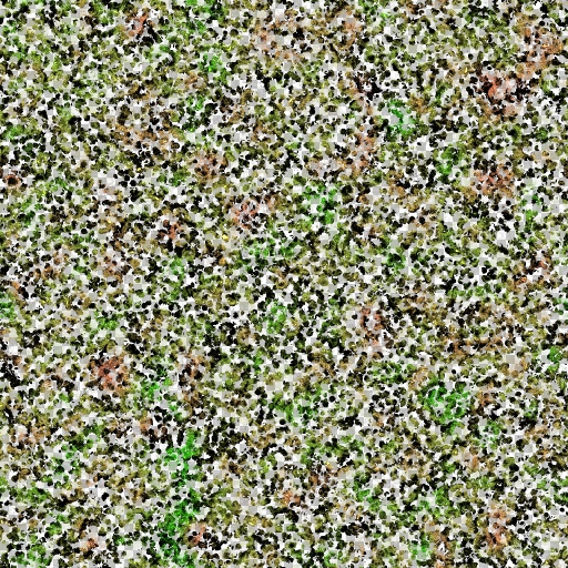 Variation 7