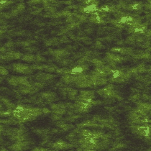 Variation 3
