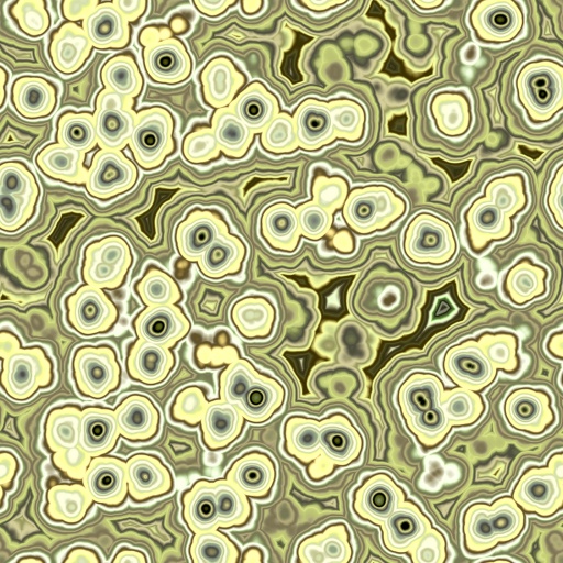 Variation 7